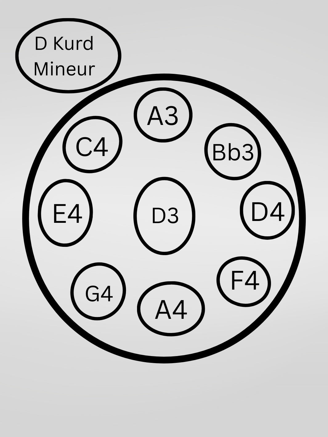 L'essentiel | Handpan D Mineur Kurd 9/10 Notes